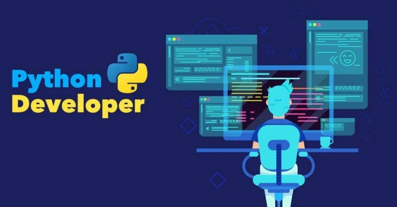 Python Developer Banner